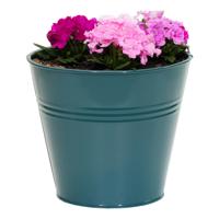 Plantenpot/bloempot Bob - rond - zink - zeegroen - D11 X H10 cm