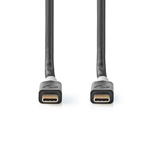 USB-Kabel | USB 3.2 Gen 2x2 | USB Type-C© Male | USB Type-C© Male | 20 Gbps | 100 W | Verguld |