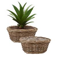 Plantenmand/aardappelmand tafelmodel - 2x - Ivy - met binnenzak - rotan - B30 x H13 cm - binnen/buit