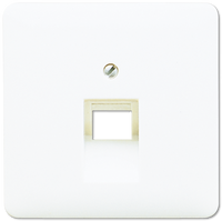 JUNG INZETPLAAT RJ45 UEA8 CD500 creme 569-1UA