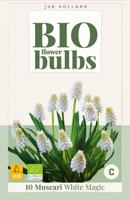 Bio muscari white magic 10 bollen