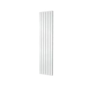 Plieger Cavallino Retto Dubbel 7253042 radiator voor centrale verwarming Zwart, Grafiet 2 kolommen Design radiator