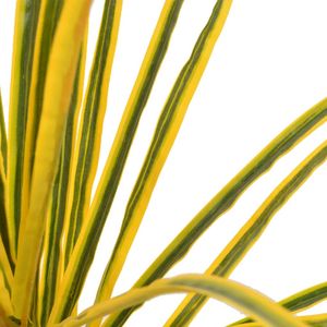 The Living Store Dracena Kunstplant - 125 cm - Realistische Details - Groen en Geel