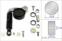 Reparatieset, spanarm Poly V-riem INA, u.a. für Audi, VW, Skoda