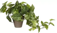 Mica Decorations kunst hangplant pothos 44cm groen
