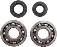 ALL BALLS Racing Crankshaft bearing set ab 24-1010 with simmerrings