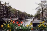Tuinschilderij bloemengracht 70x50 - Customize it