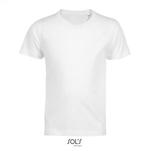 Sol`s Pioneer