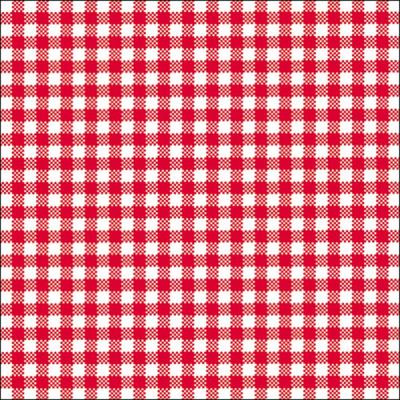 Servetten - ruitjes rood/wit - 20x st - 33 x 33 cm - 3-laags - party bbq servetten