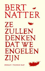 Ze zullen denken dat we engelen zijn - Bert Natter - ebook