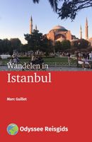 Wandelen in Istanbul - Marc Guillet - ebook