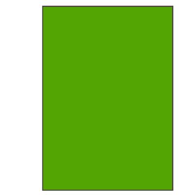 Groene A4 etiketten 210 x 297 mm 100 vel Sorex