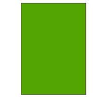 Groene A4 etiketten 210 x 297 mm 100 vel Sorex