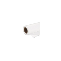 Epson S041393 Premium Semigloss Photo Paper inktjet 160g/m2 610mm x 30.5m 1 rol