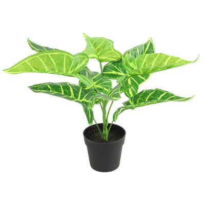 Kunstplant Alocasia in bloempot - Groen - 15 x 32 cm