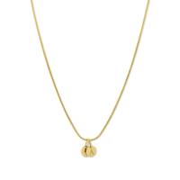 Minimalistische initialen ketting muntjes - Stainless steel - Goud