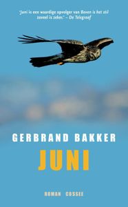 Juni - Gerbrand Bakker - ebook