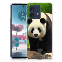 Motorola Edge 40 Neo | TPU Hoesje | Panda