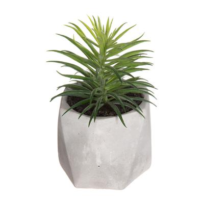 Decoratieve plant Atmosphera 7 x 14 cm Groen PVC