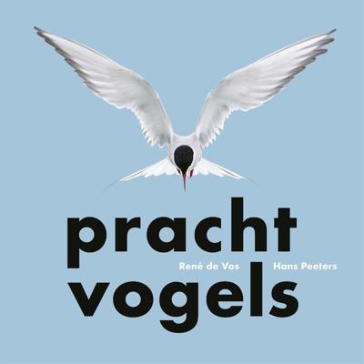Prachtvogels (Hardback)