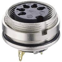 Lumberg 0305 05-1 DIN-connector Bus, inbouw verticaal Aantal polen: 5 Zilver 1 stuk(s)