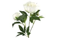 Decostar zijdebloem Paeonia 73 cm wit