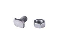 Royal Well hamerkopbouten en moeren RVS (set van 10 stuks)