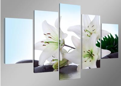 Schilderij-Witte Lelie, 160x80cm 5luik