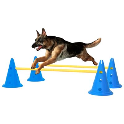 VidaXL Hindernissenset voor honden blauw en geel