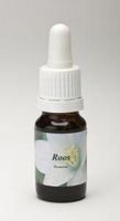 Roos