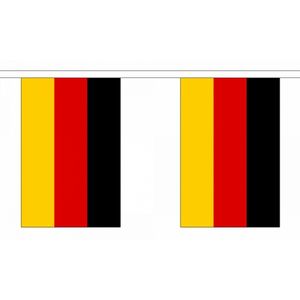Luxe Duitsland vlaggenlijn 9 m