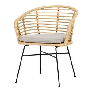 Envy Dining Stoel met Kussens Rattan