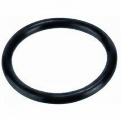 Europond EPDM O-ring 113x5,3mm - Weerbestendig voor 110mm Vijverkoppelingen