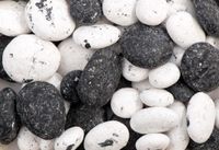 Van Vliet Maankiezels/fordekiesel (4 Kilogr)