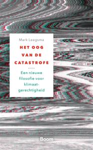 Het oog van de catastrofe - Mark Leegsma - ebook