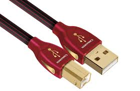 AudioQuest Cinnamon USB A-B 3.0 meter