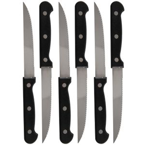 Set van 24x stuks steakmessen/vleesmessen bestek 21.5 cm