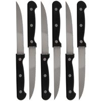 Set van 24x stuks steakmessen/vleesmessen bestek 21.5 cm