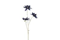 Countryfield magnolia steel 81 cm blauw / goud