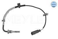 Sensor, uitlaatgastemperatuur 1148000255
