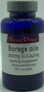 Borage olie 1200 mg GLA 240 mg