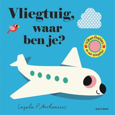 Vliegtuig, waar ben je? (Kartonboek)