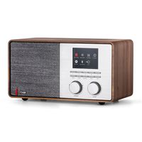 Pinell Supersound 301 Hybride radio Bruin - thumbnail