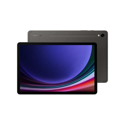 Tablet Samsung Galaxy Tab S9 SM-X710N 11" 8 GB RAM 128 GB Grijs Grafiet