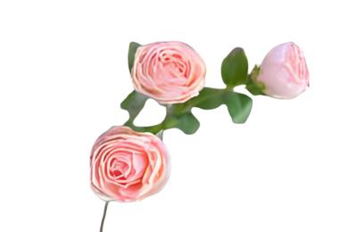 Roze 3 knopen roze - Buitengewoon de boet