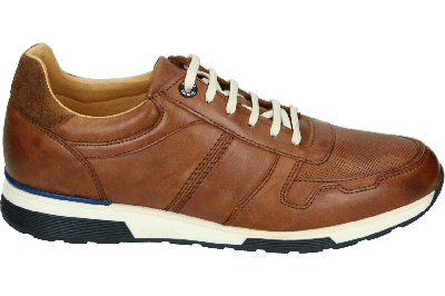 Van Lier 2515510 - alle