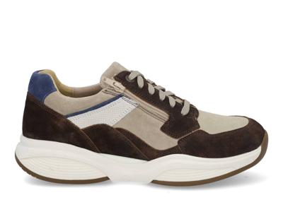 Xsensible SWX14 30088.2 301 brown Bruin maat 40