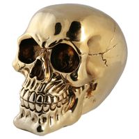 Spaarpot van doodshoofd/Skull - polyresin - 15 cm - Gold Light - Volwassenen - thumbnail