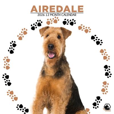 Airedale Terrier Kalender 2026