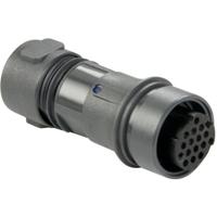 Bulgin PXP6011/03P/ST Ronde connector Stekker, recht Totaal aantal polen: 3 Serie (ronde connectors): PXP 1 stuk(s)